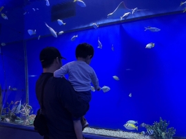 水族館にもよく行きます