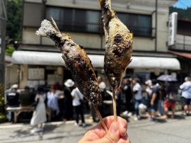 近畿圏内で食べ歩きをしています。写真は、奈良県天川村で食べたイワナと鮎です。焼きたての魚は、美味でした。